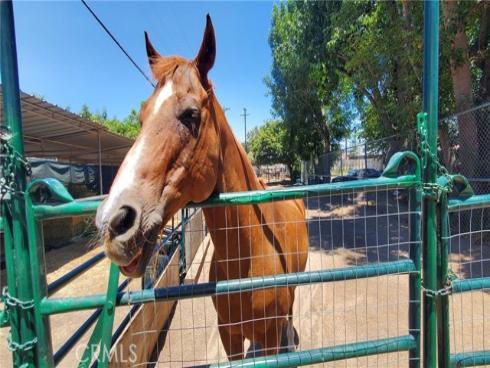 3821  Potrero  , Fullerton, CA