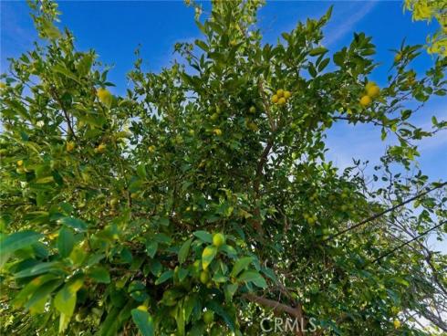 1104  Williamson  , Fullerton, CA