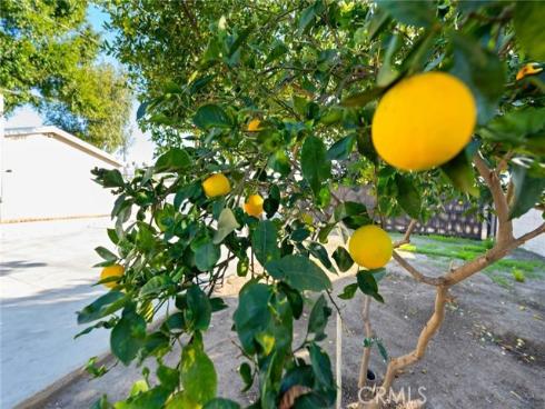 1104  Williamson  , Fullerton, CA