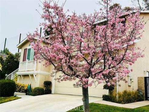 2578  Threewoods   Lane, Fullerton, CA