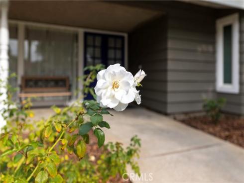 623 El Mirador Drive, Fullerton, CA