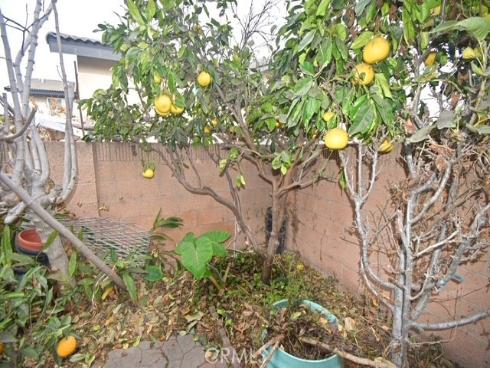 12181 Pearce , Garden Grove, CA