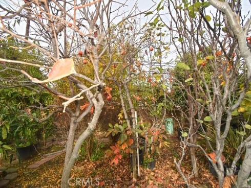 12181 Pearce , Garden Grove, CA