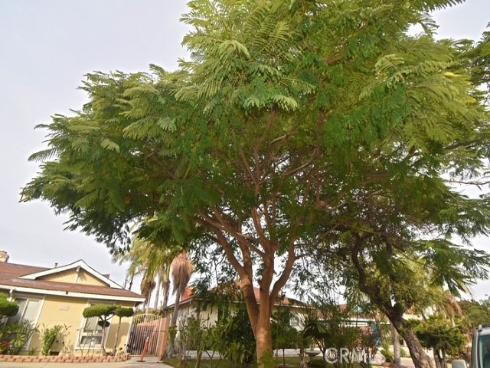 12181 Pearce , Garden Grove, CA