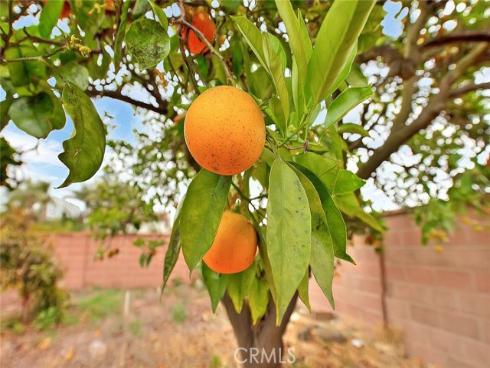 10432 Mildred Avenue, Garden Grove, CA