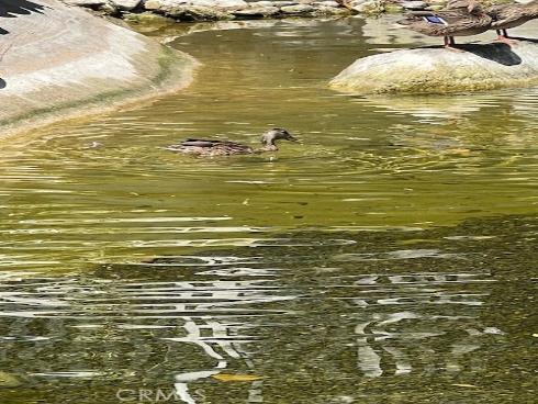 12555  Euclid  79  Street, Garden Grove, CA