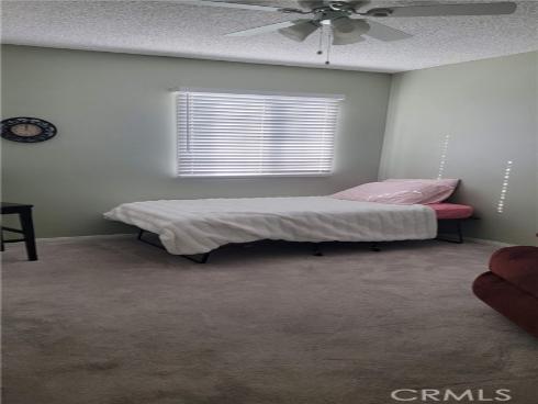 10961  Patricia   Drive, Garden Grove, CA