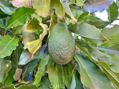 12711  Tunstall  , Garden Grove, CA