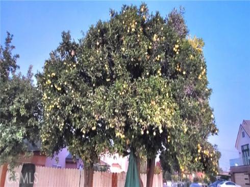 10181  Larson   Avenue, Garden Grove, CA