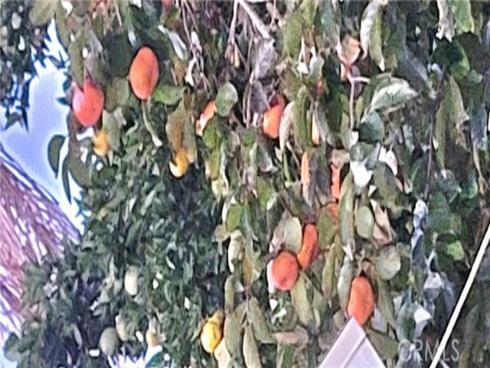 10181  Larson   Avenue, Garden Grove, CA