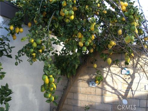 13181 Ferndale Dr , Garden Grove, CA