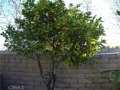 13181 Ferndale Dr , Garden Grove, CA