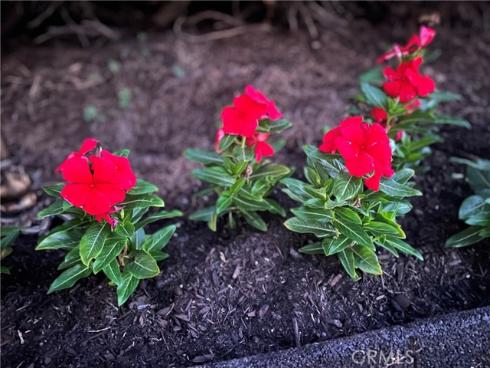 12202 Wutzke , Garden Grove, CA