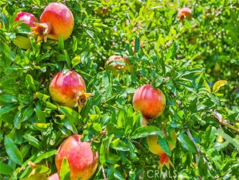 14862  Sabre   Lane, Huntington Beach, CA