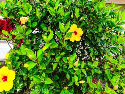 9511 Port Clyde Drive, Huntington Beach, CA