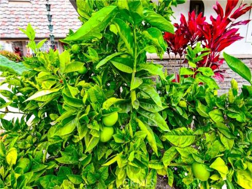 9511 Port Clyde Drive, Huntington Beach, CA