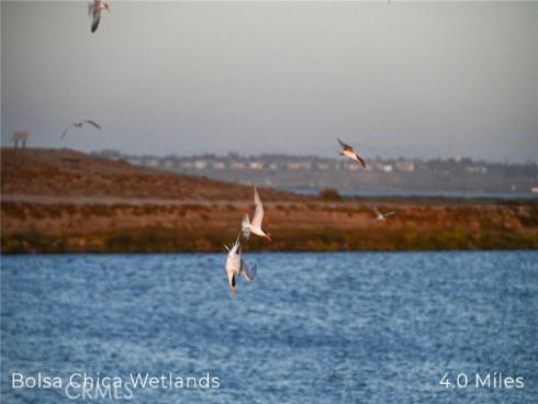 414 Main 230 , Huntington Beach, CA