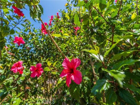 20916 Coastview Lane, Huntington Beach, CA