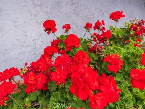 7041 Heil Avenue, Huntington Beach, CA