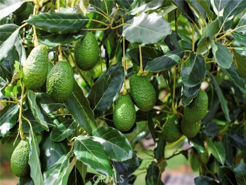 17152 Friml Lane, Huntington Beach, CA