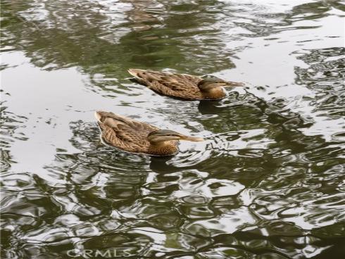 20331 Bluffside A408 , Huntington Beach, CA