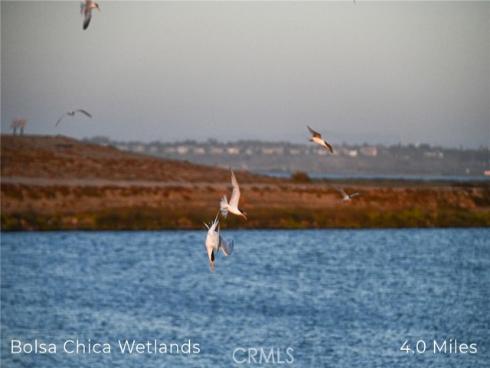 414  Main  420  Street, Huntington Beach, CA