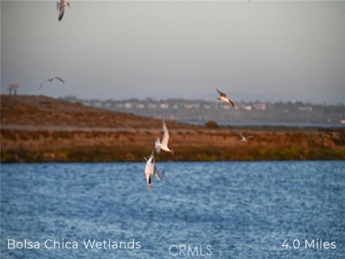 414  Main  330  Street, Huntington Beach, CA