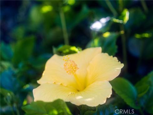 20582  Queens Park  , Huntington Beach, CA