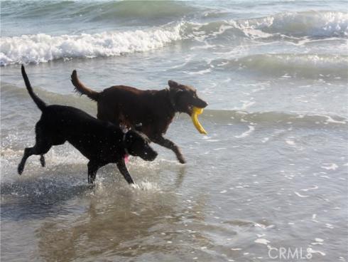 5961  Nugget  , Huntington Beach, CA