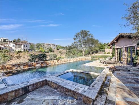 41 Needle Grass , Irvine, CA