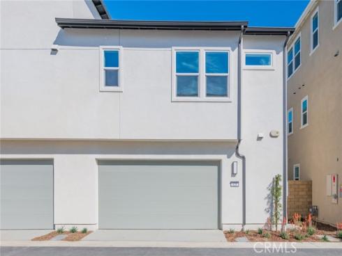 420  Flycatcher  , Irvine, CA