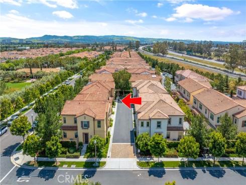 125  Annuals  , Irvine, CA