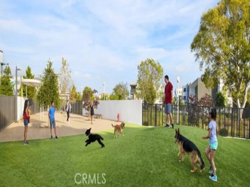 145 Novel , Irvine, CA