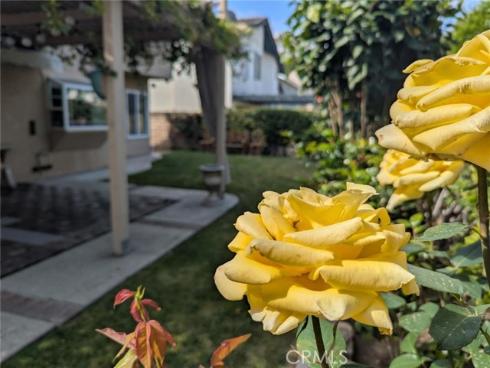 4 Henry , Irvine, CA