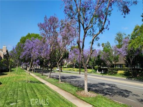 61 Greenfield 68 , Irvine, CA