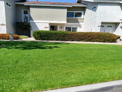 18 Goldenbush , Irvine, CA