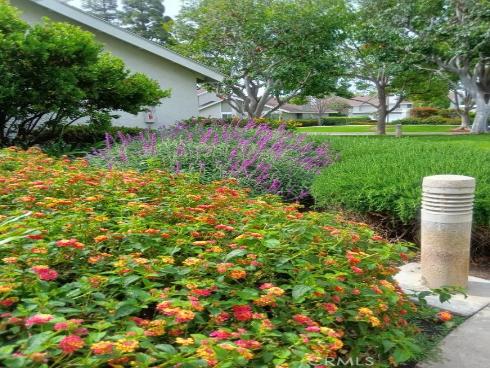 18 Goldenbush , Irvine, CA