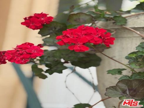 19 Imperial Aisle , Irvine, CA