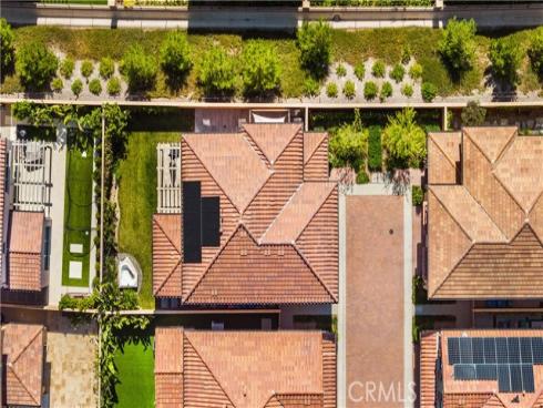 121 Spotted Quail , Irvine, CA