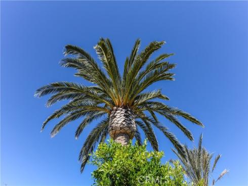 71  Einstein   Way, Irvine, CA