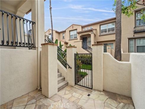 80 hedge bloom , Irvine, CA