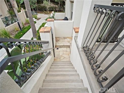 80 hedge bloom , Irvine, CA