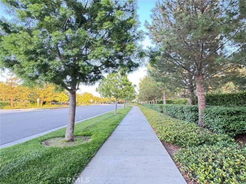 103  Alumroot  , Irvine, CA
