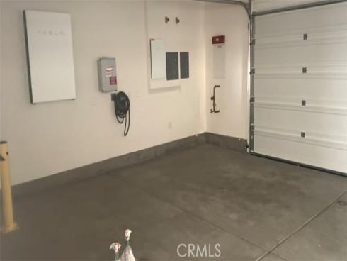 442  lobata  , Irvine, CA