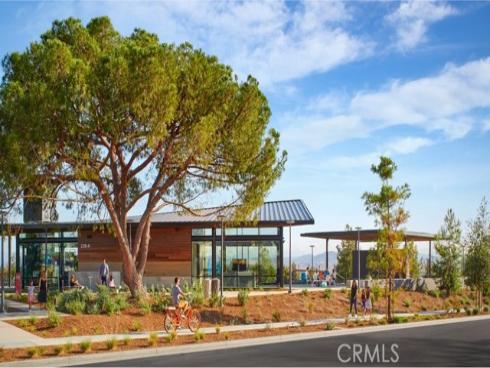 442  lobata  , Irvine, CA