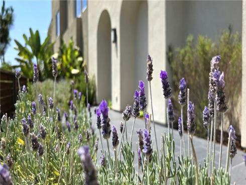 610 Cultivate , Irvine, CA