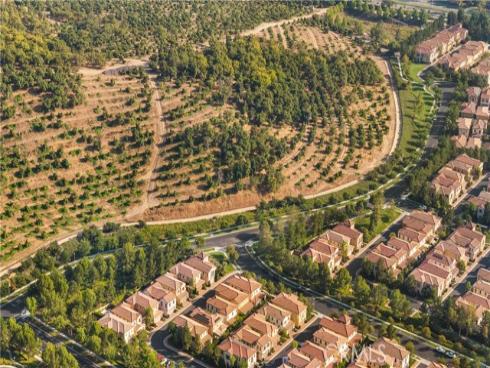 51 Painted Sky , Irvine, CA