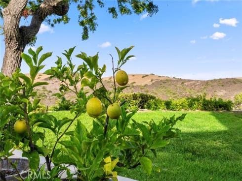 31  Mirador  34 , Irvine, CA