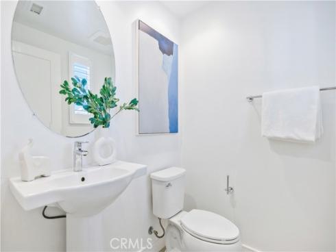 130  Spotted Quail  , Irvine, CA