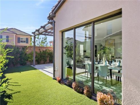 130  Spotted Quail  , Irvine, CA